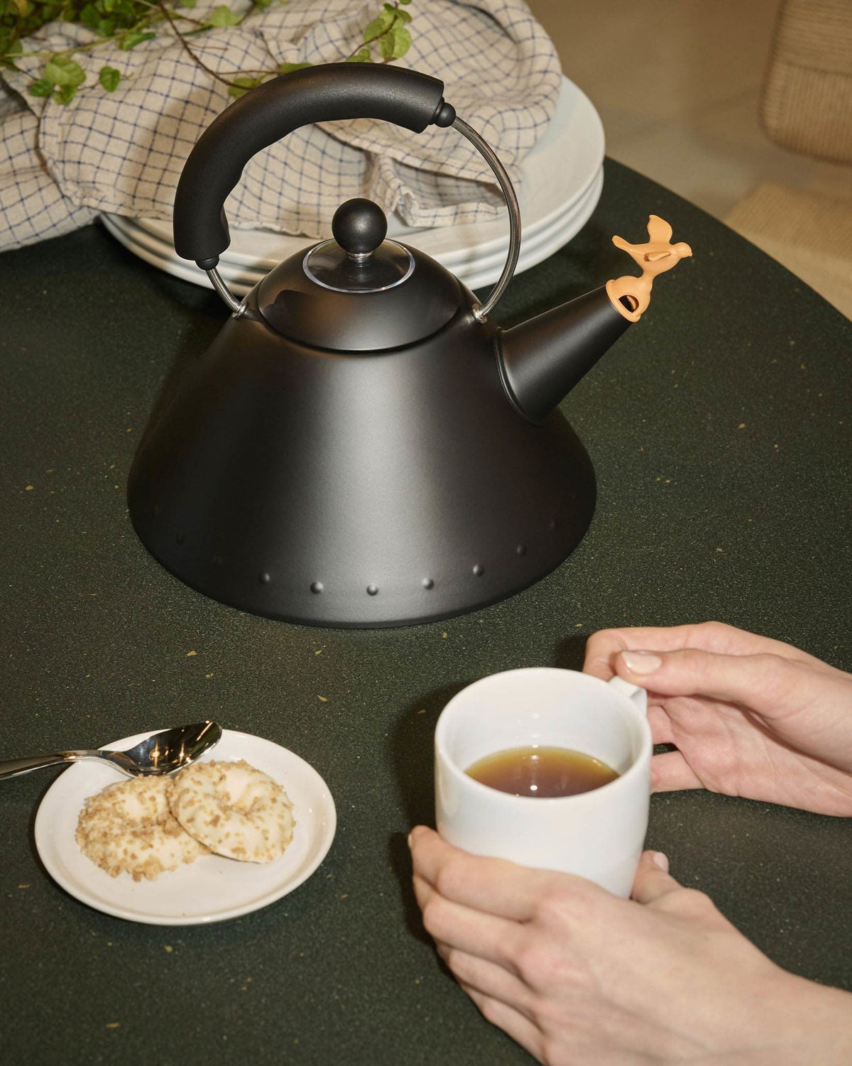ALESSI 9093 40th anniversary: Induction Kettle By Michael Graves